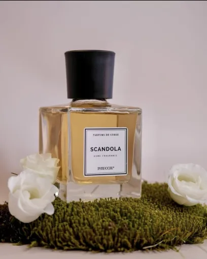 Nouvelle gamme de produits chez Anseba, Porto-Vecchio, ANSEBA