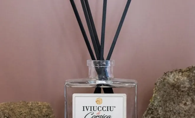 Nouvelle gamme de produits chez Anseba, Porto-Vecchio, ANSEBA