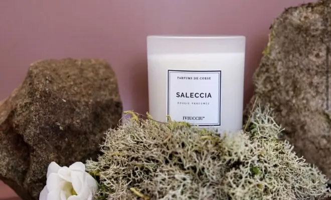 Nouvelle gamme de produits chez Anseba, Porto-Vecchio, ANSEBA