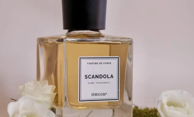 Nouvelle gamme de produits chez Anseba, Porto-Vecchio, ANSEBA